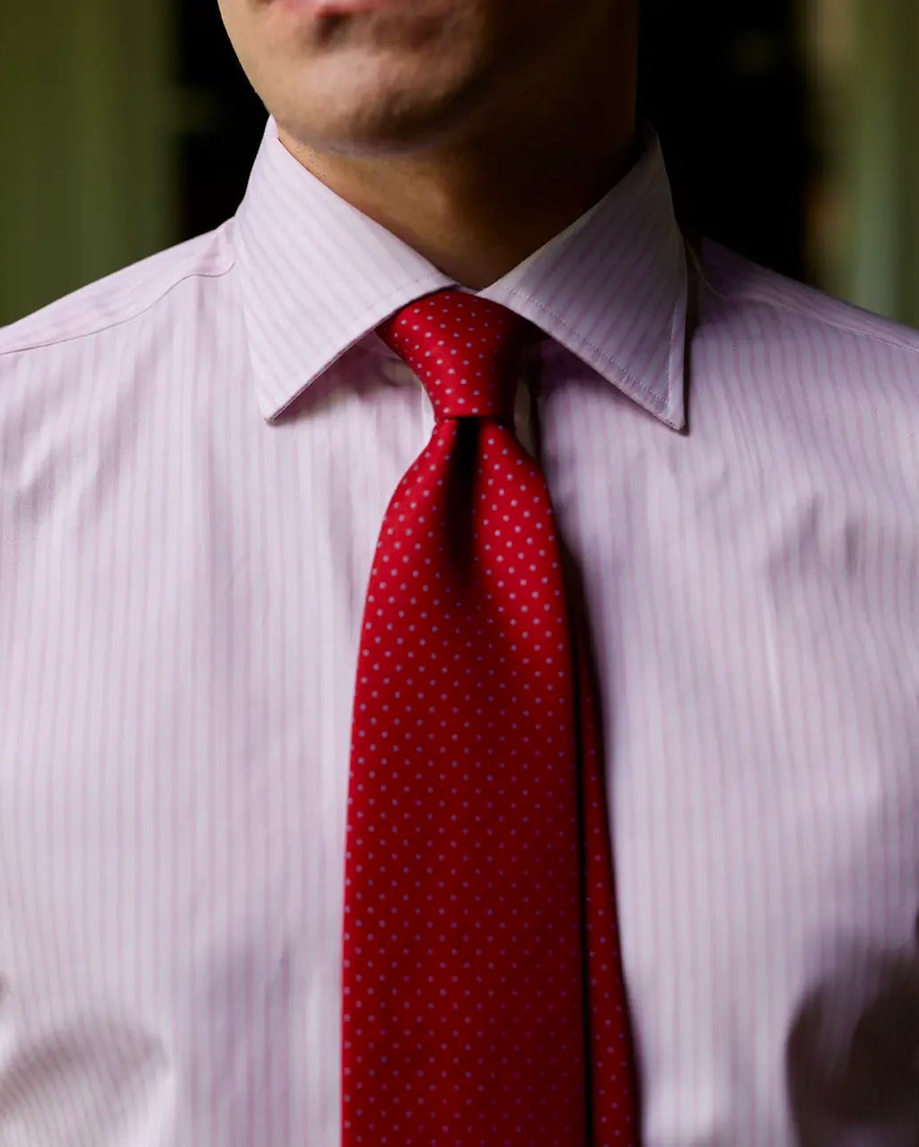 Tailored Stripe Poplin