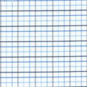 Carlson Check