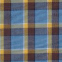 Roark Check (Sage/Coral)