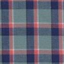 Roark Check (Sage/Coral)