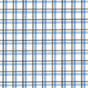 Calle Check (Blue)