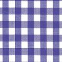 Classic Gingham Check
