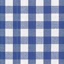 Classic Gingham Check