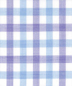 Blaire Check