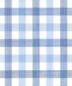 Blaire Check