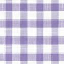 Textured Gingham Check