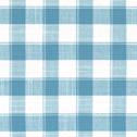 Textured Gingham Check